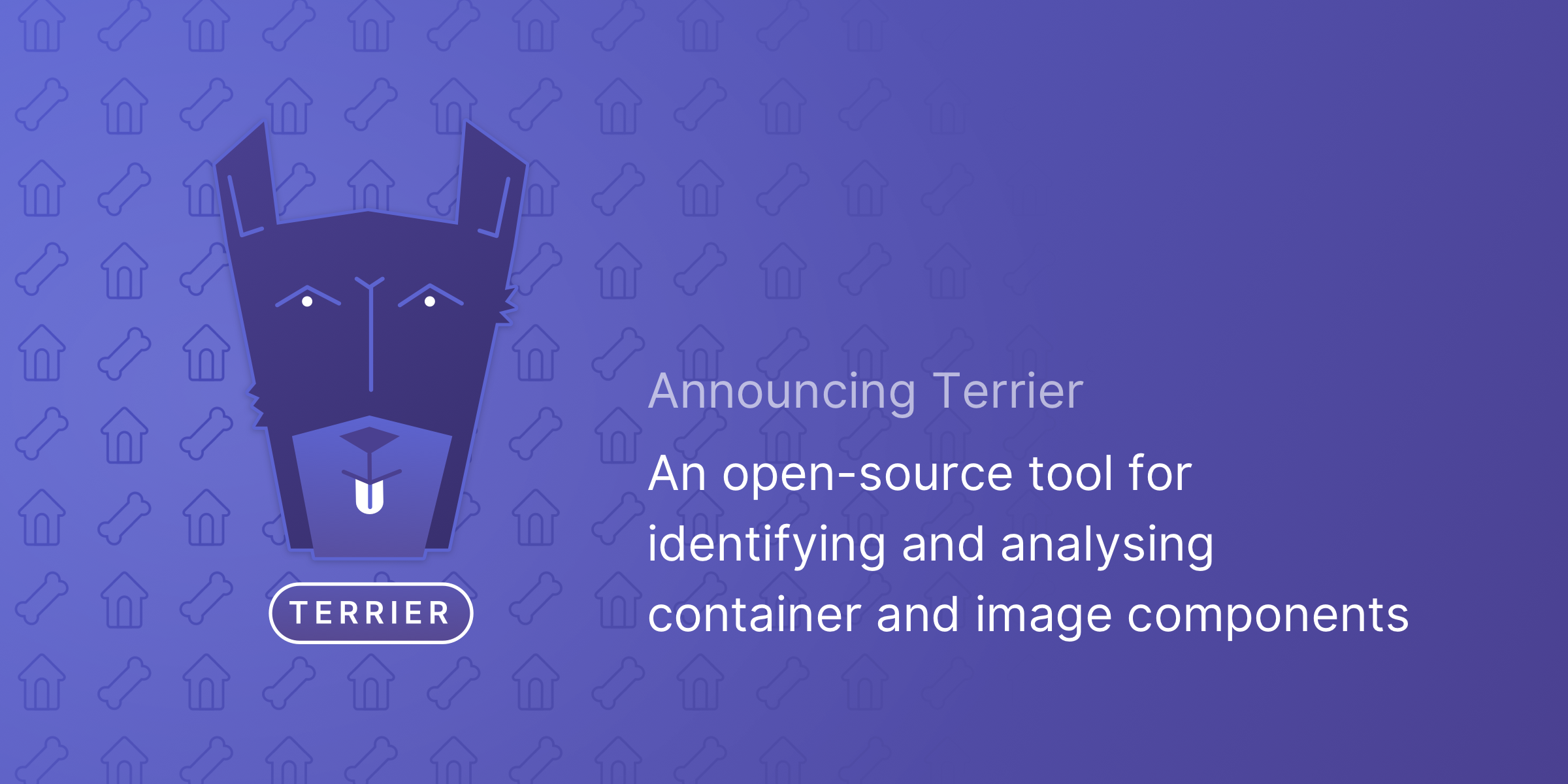 Announcing Terrier: An open-source tool for identifying and analysing container and image components