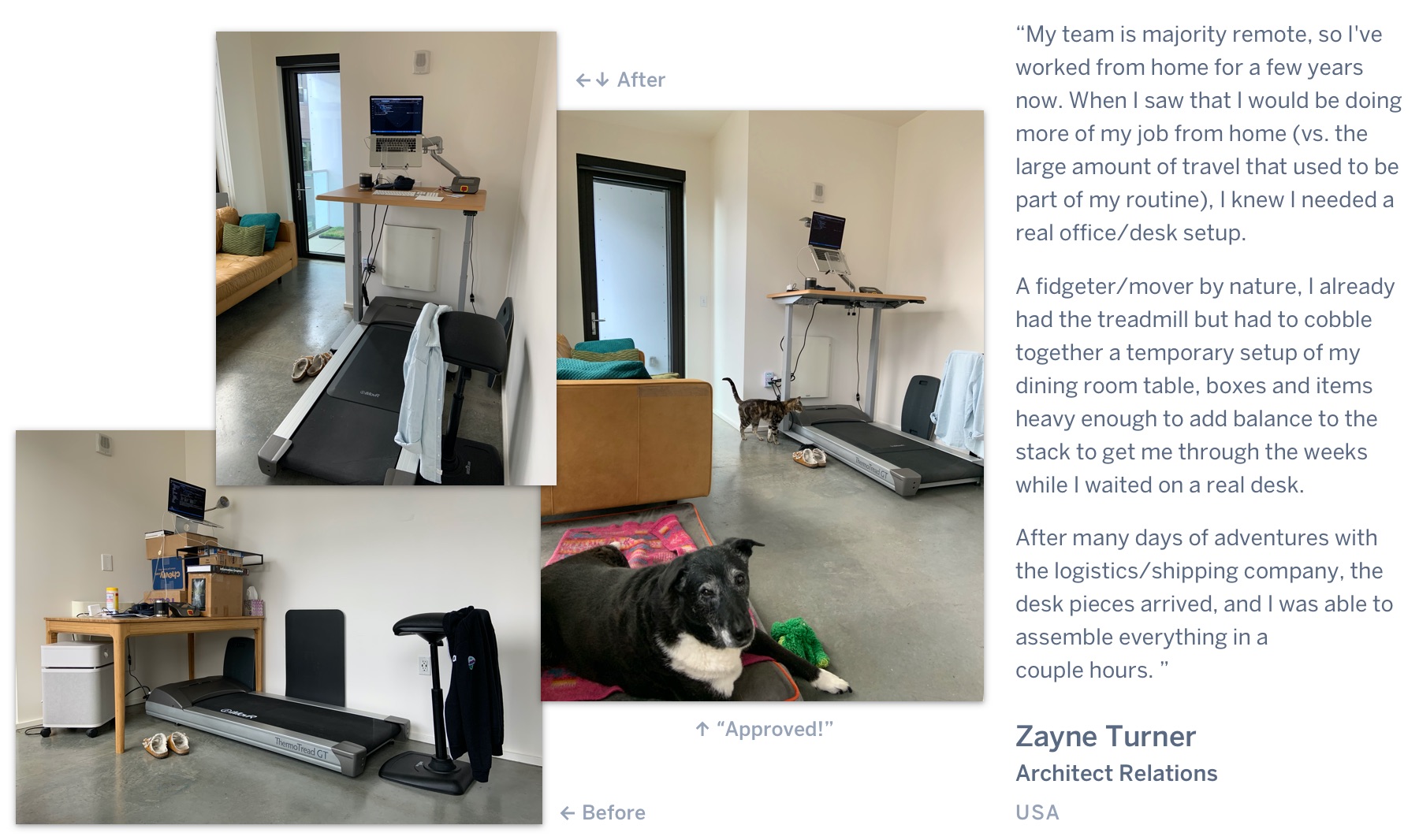 A before photo of a standing desk made up boxes, followed by an after photo of a clean mechanical standing desk above a treadmill, with a dog and cat looking on. "My team is majority remote, so I've worked from home for a few years now. When I saw that I would be doing more of my job from home (vs. the large amount of travel that used to be part of my routine), I knew I needed a real office/desk setup. A fidgeter/mover by nature, I already had the treadmill but had to cobble together a temporary setup of my dining room table, boxes and items heavy enough to add balance to the stack to get me through the weeks while I waited on a real desk. After many days of adventures with the logistics/shipping company, the desk pieces arrived, and I was able to assemble everything in a couple hours.” Zayne Turner, Architect Relations, USA.